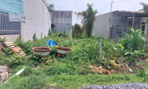 Chủ kẹt cần bán gấp lô đất nền 277m2 ở Tân Thạnh Đông Củ Chi SHR ngay chợ, khu vực đông dân cư