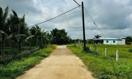 SIÊU ĐẤT VƯỜN LÊN FULL THỔ – 300M² NGANG 10M – ĐƯỜNG BÊ TÔNG XE HƠI – PHƯỚC THẠNH, CỦ CHI – CHỈ 480 TRIỆU!