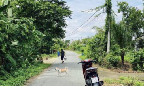 Cần bán nhanh lô ngay UBND Thái Mỹ SHR DT120m2 Giá 500TR ❗️❗️