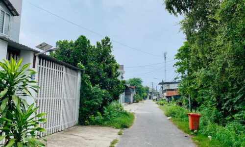 Đất nền, 8.7×20=174m2, đường 41,Tân Thông Hội, Củ Chi SHR Giá 580TR