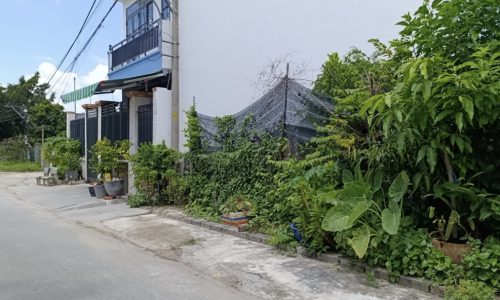 Chính chủ bán gấp lô đất 190m2/455 Triệu, Tân An Hội Củ Chi, sổ hồng riêng, đường 15m