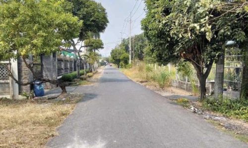 Chủ ngộp bán gấp đất Xã Tân Thông Hội, Củ Chi, Hồ Chí Minh, 550TR SHR