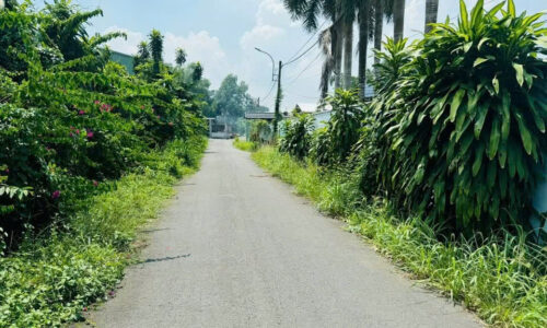 Bán lô đất 10×50 Tân Phú Trung, 500 triệu. SHR