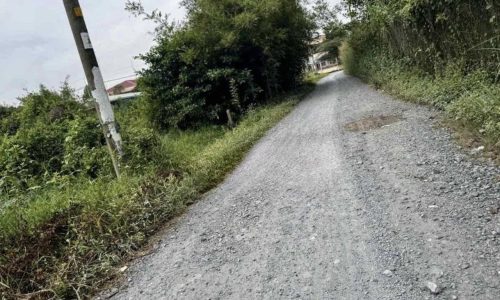 Bán Nhanh Lô Đất 1/ Nguyễn Thị Rành Xã Tân An Hội Củ Chi DT 320m2 SHR Giá 600TR