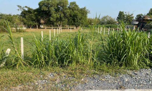 Đất nền, 10×32=324m2, 100m2 thổ cư, đường Võ Văn Điều, xã Phước Thạnh Củ Chi SHR Giá 680TR