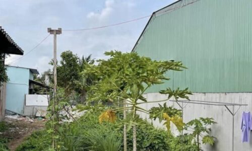 BÁN GẤP Lô đất 129m2 SHR, Tân Thông Hội, Củ Chi. Giá 400 Triệu