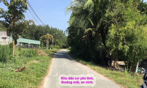 Bán nền đất giá rẻ Ấp Bình Hạ Đông, xã Thái Mỹ Củ Chi SHR DT 171m2 Giá 550TR