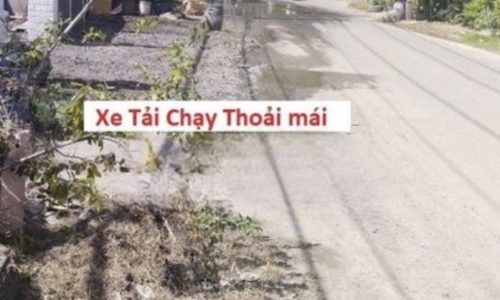 BÁN GẤP Lô đất 5*26 ( 130m2), SHR, Tân Thông Hội, Củ Chi. Giá 490TR