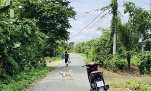 Cần bán nhanh lô ngay UBND Thái Mỹ, Đ. 693, X. Thái Mỹ, H. Củ Chi, SHR, thổ cư 100%, Giá 400TR 120m2