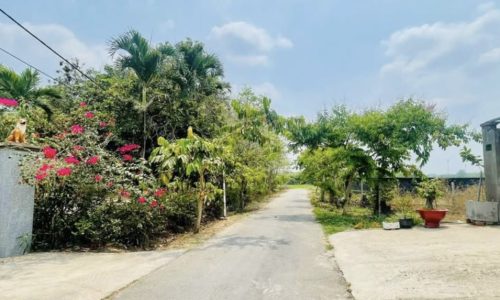 Giá chót 430 triệu bán gấp 142m2 đất thổ sổ riêng, ngay chợ Giồng Cát, Tân Phú Trung Củ Chi