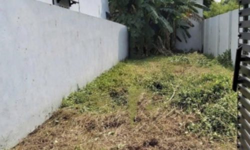 Kẹt tiền cần bán nhanh miếng đất 1 xẹc ngắn QL22, xã Tân Thông Hội, có sổ hồng riêng Giá 440TR