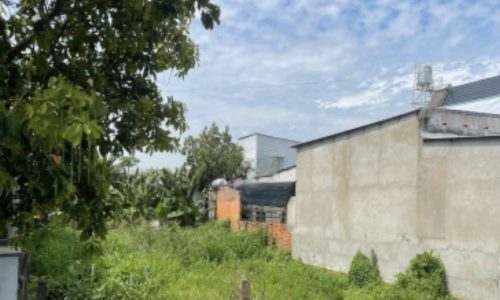 Bán lô 10×47.5m (457.5m2 – 389m2 thổ cư) MT Nguyễn Kim Cương Tân Thạnh Đông Củ Chi SHR Giá 600TR