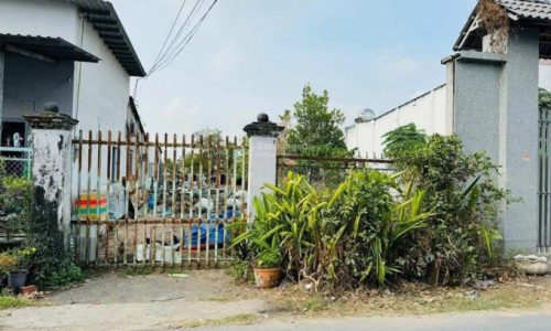 Lô đất siêu đẹp MT đường nhựa SHR giá cực hời