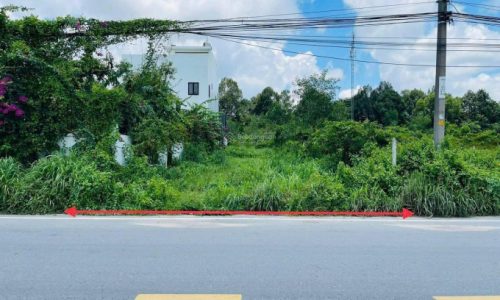 CHÍNH CHỦ CẦN BÁN GẤP 174,5M FULL THỔ MT 6M Đ.NGUYỄN THỊ QUÁ, PHƯỚC THẠNH GIÁ CHỈ  650 TRIỆU