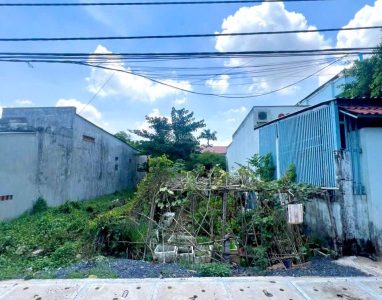 Chính chủ cần bán gấp miếng đất Đường 430, Xã Phước Vĩnh An, Củ Chi, Hồ Chí Minh, 560tr,SHR