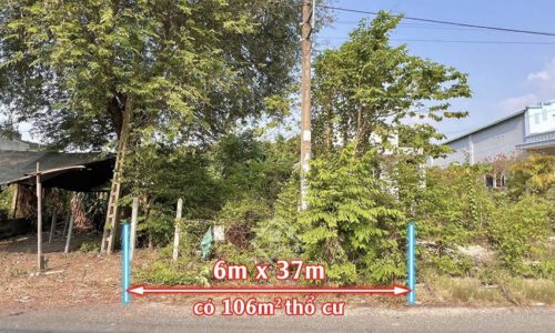 CHỦ BÁN NGỘP LÔ ĐẤT Ở PHƯỚC THẠNH CỦ CHI 220M2 GIÁ 580 TRIỆU