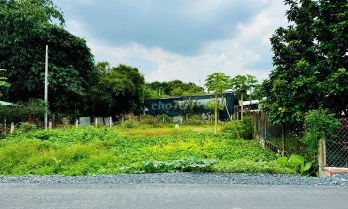 Chủ kẹt tiền bán gấp đất Tân Phú Trung, Củ Chi 500m2 có thổ cư xây nhà