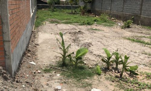 Em còn 3 lô cuối vị trí siêu đẹp -Dân cư đông đúc, Sổ sẵn. Cách QL 50m