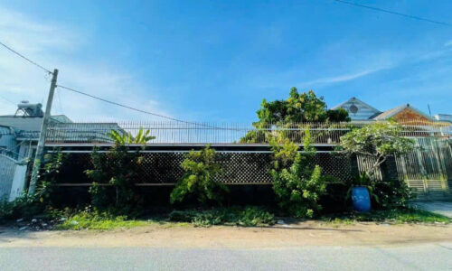 Cơ hội sở hữu lô đất 500m2 tại Nguyễn Viết Xuân, thị trấn Củ Chi chỉ với 500 triệu