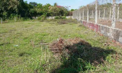 BÁN NGỘP LÔ ĐẤT Ở PHƯỚC THẠNH CỦ CHI 135M2 GIÁ 520 TRIỆU