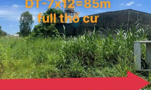 CẦN BÁN GẤP LÔ ĐẤT Ở TÂN THÔNG HỘI CỦ CHI 85M2 450 TRIỆU