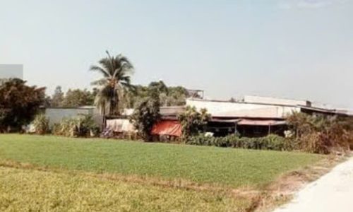CHỦ KẸT TIỀN BÁN GÂP LÔ ĐẤT Ở TRUNG LẬP THƯỢNG CỦ CHI 100M2 GIÁ 450 TRIỆU