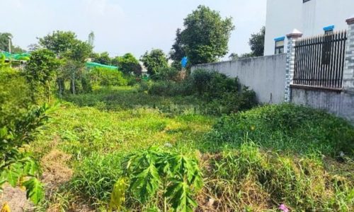 Cần bán lô đất 155m2 thổ cư 100% sổ hồng riêng pháp lý chuẩn , Giá 490 TRIỆU , ở Thái Mỹ Củ chi