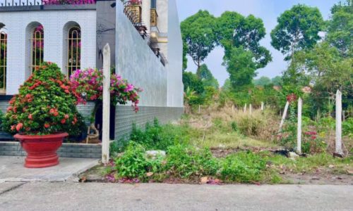 Bán đất xã Trung Lập Thượng Củ Chi, cách Đ.Trung Lập 300m, 5x36m, 179m2 GIÁ  530 triệu