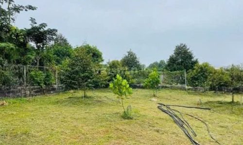 Cần bán gấp lô đất đường nhựa Trung Lập Thượng, 84,8m2 full thổ cư,Giá 420 triệu