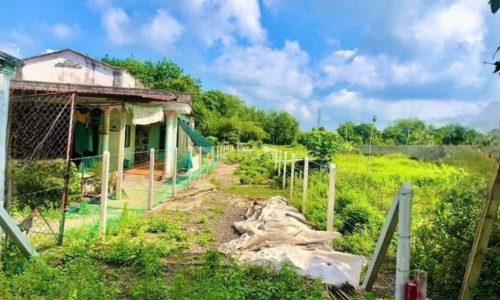 Đất 4*50 full thổ Mặt Tiền Đường Nguyễn Văn Khạ Củ Chi 530 triệu