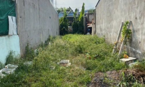 Bán gấp lô đất 151m2, xã Tân An Hội, Củ Chi, giá 500 triệu