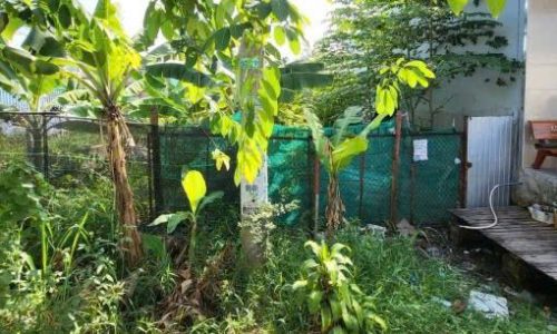 Đất nền đường nhựa, 4×28=112m2 ,Võ Thị Nghỉ, xã Tân Phú Trung Củ Chi Giá 520TR.