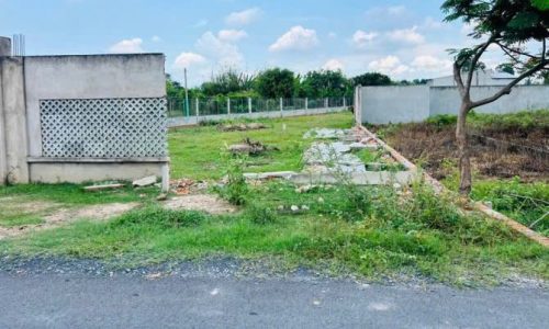 CHÍNH CHỦ GÁN GẤP LÔ Ở TÂN THÔNG HỘI CỦ CHI 80M2 GIÁ 450 TRIỆU