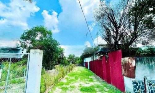 BÁN NGỘP LÔ ĐẤT TÂN THÔNG HỘI CỦ CHI DT 170M2 GIÁ 510 TRIỆU
