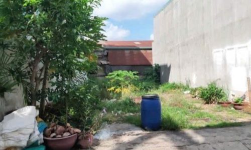 CẦN BÁN LÔ ĐẤT 137M2 ĐƯỜNG TRẦN THỊ CẨM, TÂN PHÚ TRUNG, CỦ CHI 490 TRIỆU