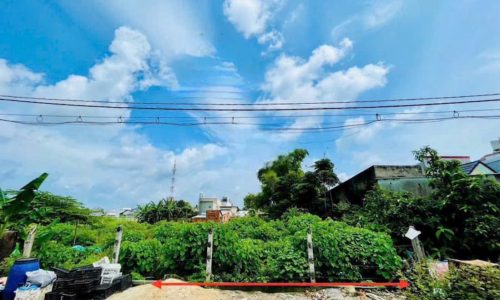 Bán đất tại Số 17, Tân Thông Hội, Củ Chi, HCM chỉ 550 triệu, 200m2