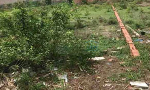 CẦN BÁN NGỘP LÔ ĐẤT Ở TÂN AN HỘI CỦ CHI GIÁ 460 TRIỆU DIỆN TÍCH 130M2