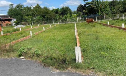 CHỦ BÁN NGỘP LÔ ĐẤT Ở TRUNG LẬP THƯỢNG 135M2 GIÁ 470 TRIỆU SHR