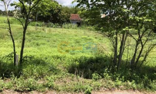 BÁN NGỘP LÔ ĐẤT THÁI MỸ 182M2 GIÁ 510 TRIỆU ĐỂ CHỦ ĐỊNH CƯ NƯỚC NGOÀI