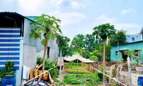 CHỦ BÁN NGỘP LÔ ĐẤT TÂN THÔNG HỘI , CỦ CHI 135M2 GIÁ 440 TRIỆU