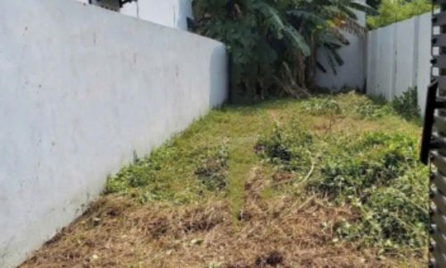 CHỦ KẸT TIỀN BÁN GẤP LÔ ĐẤT Ở TÂN THÔNG HỘI , CỦ CHI 115M2 GIÁ 450 TRIỆU