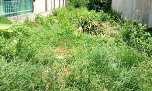 CHỦ GỬI BÁN LÔ ĐẤT 100M2 Ở TÂN PHÚ TRUNG CỦ CHI GIÁ 430 TRIỆU
