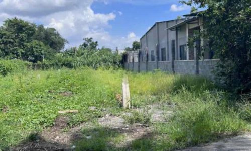 BÁN NHANH LÔ ĐẤT Ở TT CỦ CHI 100M2 GIÁ 430 TRIỆU
