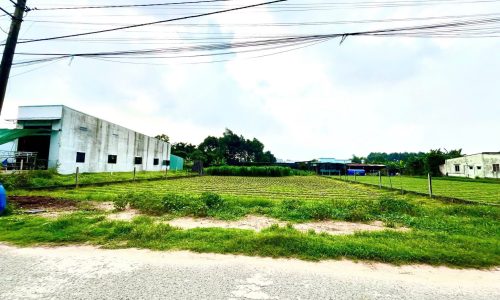 CHỦ NGỘP BANK BÁN GẤP LÔ ĐẤT Ở TÂN THÔNG HỘI CỦ CHI 156M2 GIÁ 470 TRIỆU