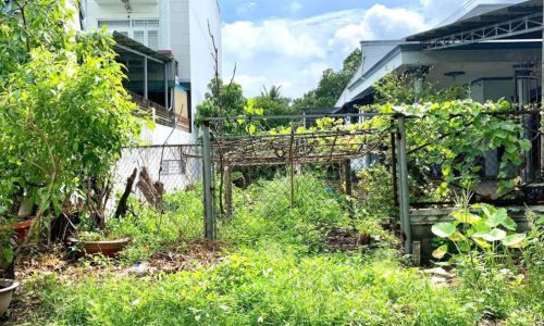 CẦN BÁN NHANH LÔ ĐẤT Ở TÂN THÔNG HỘI CỦ CHI 130M2 GIÁ 440 TRIỆU