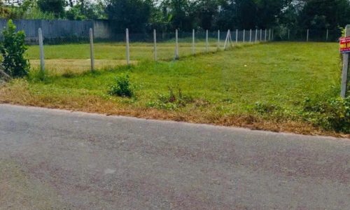 BÁN NGỘP LÔ ĐẤT Ở TÂN THÔNG HỘI CỦ CHI 192M2 GIÁ 490 TRIỆU