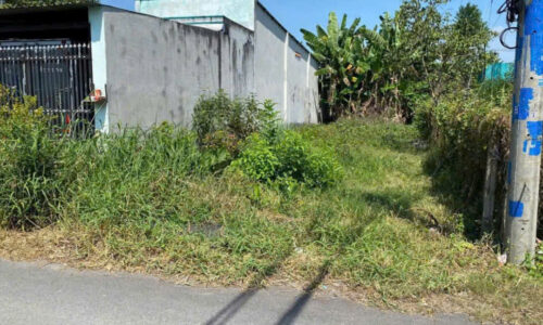 BÁN NGỘP LÔ ĐẤT Ở TÂN THÔNG HỘI CỦ CHI 133M2 GIÁ 440 TRIỆU