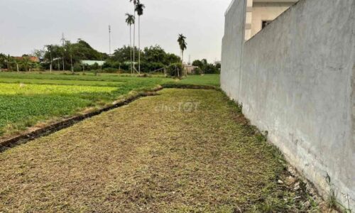 BÁN LÔ ĐẤT THỔ CƯ Ở BÌNH MỸ MT NHỰA SHR 152m2 650 TRIỆU
