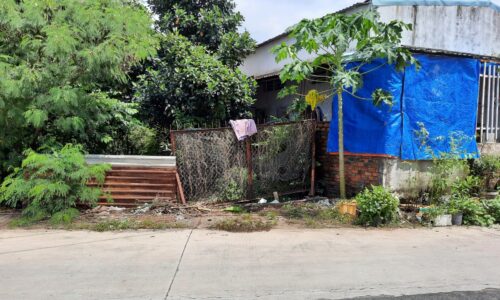 Bán gấp 232m2 đất, sổ riêng, thuộc Ấp Chánh, Tân Thông Hội, Củ Chi, giá 500 triệu