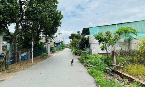 130M2 FULL THỔ 1 SẸC MAI THỊ BUỘI PHƯƠC VĨNH AN KDC SHR 420TR